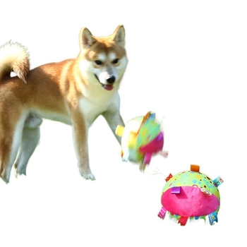 Uus koeraheli mängupalli mängurõngaspall kui karupuust koer kuldne retriiver purihammaste hammustuskindel eneseleevendus