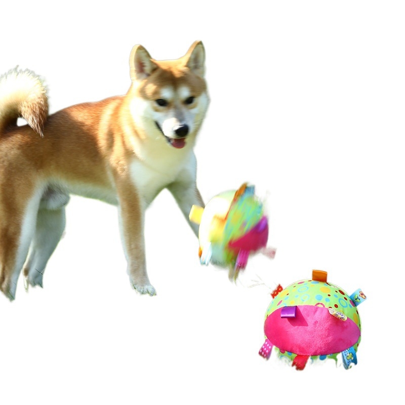 Uus koeraheli mängupalli mängurõngaspall kui karupuust koer kuldne retriiver purihammaste hammustuskindel eneseleevendus