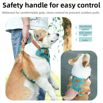 Koera veojõuköie vest koerale, jalutuskäigu köis lemmikloomale, rinnal seljal, suur, keskmine ja väike koer, kuldne retriiver, corgi karu, spetsiaalne väljasõiduks