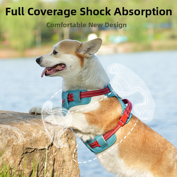 Koera veojõuköie vest koerale, jalutuskäigu köis lemmikloomale, rinnal seljal, suur, keskmine ja väike koer, kuldne retriiver, corgi karu, spetsiaalne väljasõiduks