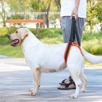 Populaarne koerte abivöö eakatele puuetega koertele reguleeritav veojõuköis