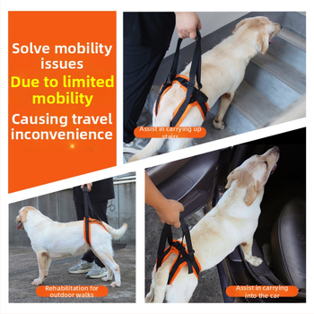 Populaarne koerte abivöö eakatele puuetega koertele reguleeritav veojõuköis