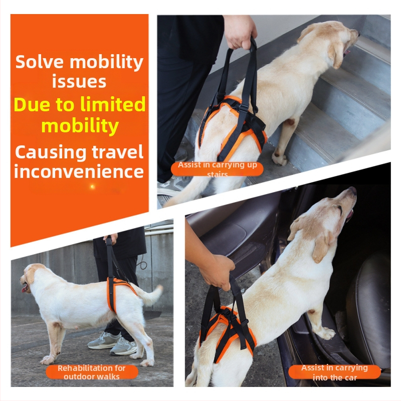 Популярен спомагателен колан за кучета за възрастни хора с увреждания, колан за разходка на кучета с регулируемо въже за сцепление с домашни любимци