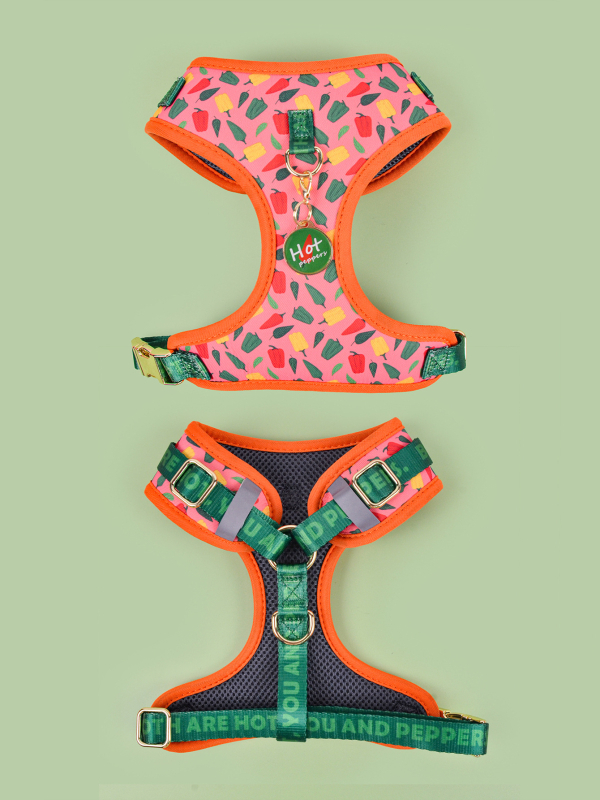 Uus armas suvine lemmiklooma rinnarihmaga ripats keskmistele ja suurtele koertele ning suurtele koertele