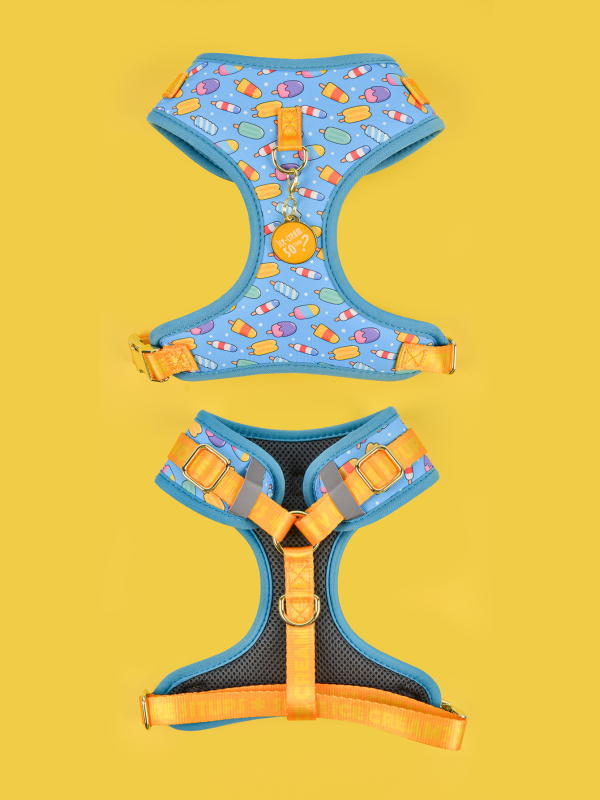 Uus armas suvine lemmiklooma rinnarihmaga ripats keskmistele ja suurtele koertele ning suurtele koertele