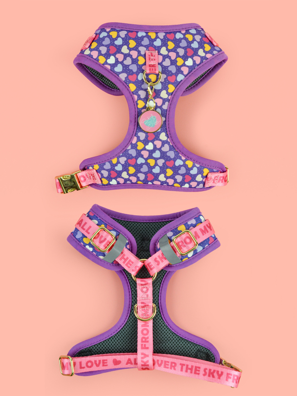 Uus armas suvine lemmiklooma rinnarihmaga ripats keskmistele ja suurtele koertele ning suurtele koertele