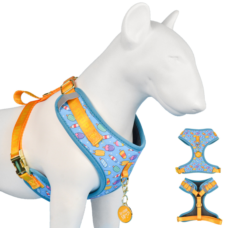 Uus armas suvine lemmiklooma rinnarihmaga ripats keskmistele ja suurtele koertele ning suurtele koertele