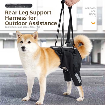 Koera abivöö Amazoni uus hingav kalasabakaitse selgroo toetamiseks koerte treenimiseks ülakorrusel lemmikloomade kaitsevarustus