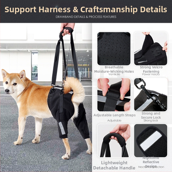 Koera abivöö Amazoni uus hingav kalasabakaitse selgroo toetamiseks koerte treenimiseks ülakorrusel lemmikloomade kaitsevarustus