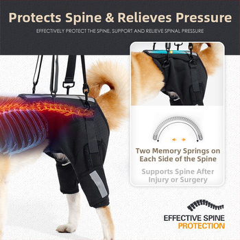 Koera abivöö Amazoni uus hingav kalasabakaitse selgroo toetamiseks koerte treenimiseks ülakorrusel lemmikloomade kaitsevarustus