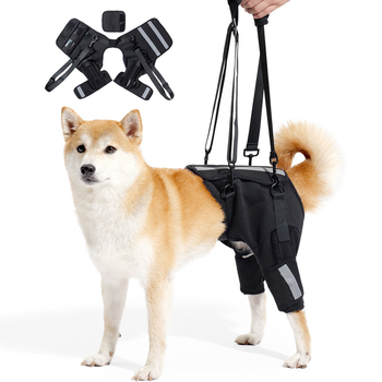 Koera abivöö Amazoni uus hingav kalasabakaitse selgroo toetamiseks koerte treenimiseks ülakorrusel lemmikloomade kaitsevarustus