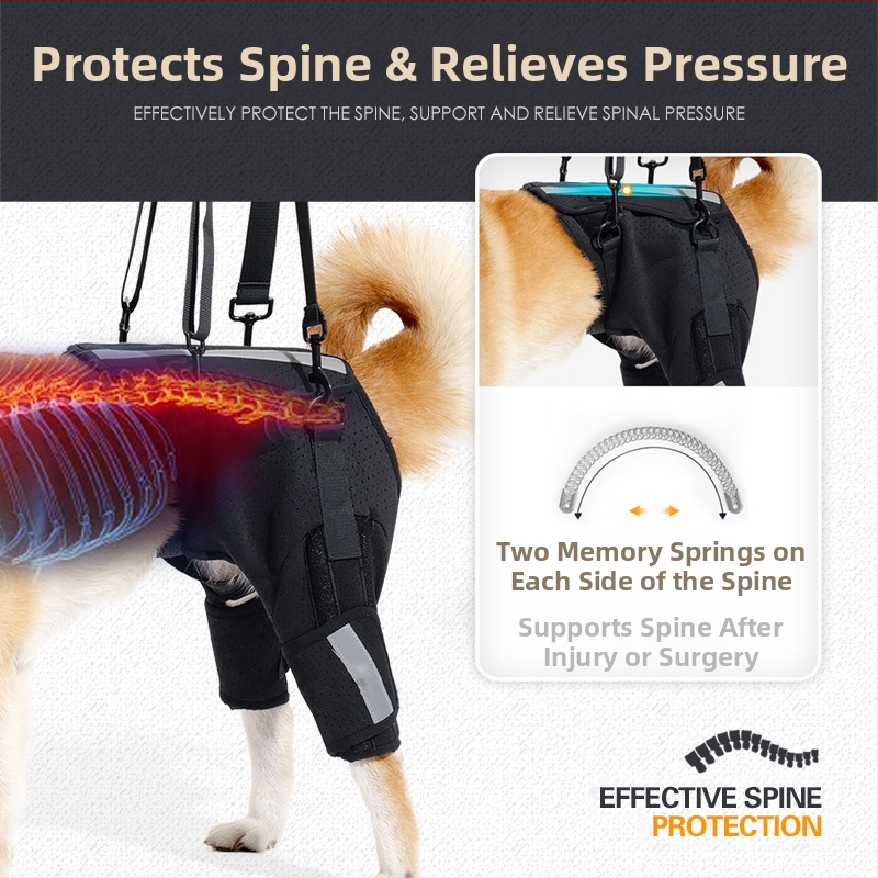 Помощен колан за кучета Новата дишаща защита тип „рибена кост“ на Amazon, гръбначен стълб, обучение на кучета на горния етаж, защитно оборудване за домашни любимци