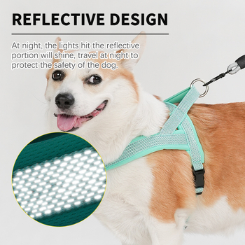 Uus koerarihm hingav helkur lemmiklooma rakmed väikestele ja keskmise suurusega koertele Amazoni enimmüüdud