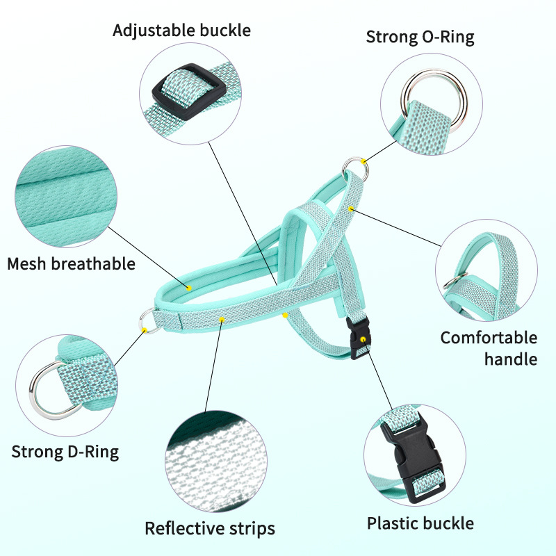 Uus koerarihm hingav helkur lemmiklooma rakmed väikestele ja keskmise suurusega koertele Amazoni enimmüüdud