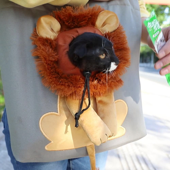 Väike lemmikloomade lõuendist väljasõidukott kassidele ja koertele, lemmikloomakott, mis paljastab väikese lõvikujulise õlakotti laos