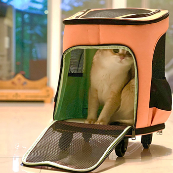 Augintinių krepšys, kuprinė, vežimėlis, krepšys išeigoms, katėms, šunims, nešiojamas vežimėlio dėklas, kvėpuojantis, sulankstomas augintinių kuprinė