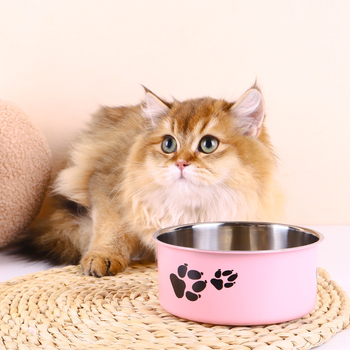 Pārrobežu karsta nerūsējošā tērauda suņu bļoda ar pretsitieniem kaķu bļoda liela suņu mājdzīvnieku bļoda lielas ietilpības suņu rīsu bļoda suņu šķīvis