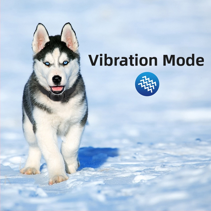 Вибрираща антилаеща каишка за домашни любимци Антилаеща каишка Автоматично антилаещо устройство, подходящо за малки и средни кучета Антилаещо устройство