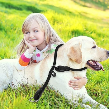 Spetsiaalne lämbumisköis lemmikloomadele, koerte jalutamiseks mõeldud õues treenimise veojõuköis, lemmikloomade treenimise P-ketiga plahvatuskindel veojõuköis