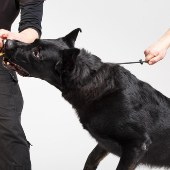 Spetsiaalne lämbumisköis lemmikloomadele, koerte jalutamiseks mõeldud õues treenimise veojõuköis, lemmikloomade treenimise P-ketiga plahvatuskindel veojõuköis