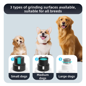 Lemmikloomade küünte teritaja Lemmikloomade küünelõikurid kergete küünelõikuritega Koerte kasside küünelõikurid Lemmikloomade küünte teritaja