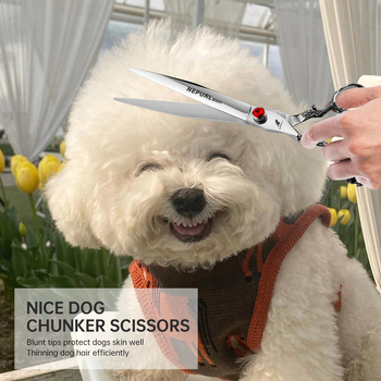 8,0-инчови ножици за красота на домашни любимци с драконова дръжка, висококачествени ножици за красота на домашни любимци, плоски ножици, прави ножици за красота на домашни любимци