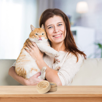 Augintinių atminimo dėžutė Augintinių atminimo dėžutė Šunų plaukų pelenų laikymo dėžutė Medinė dėžutė