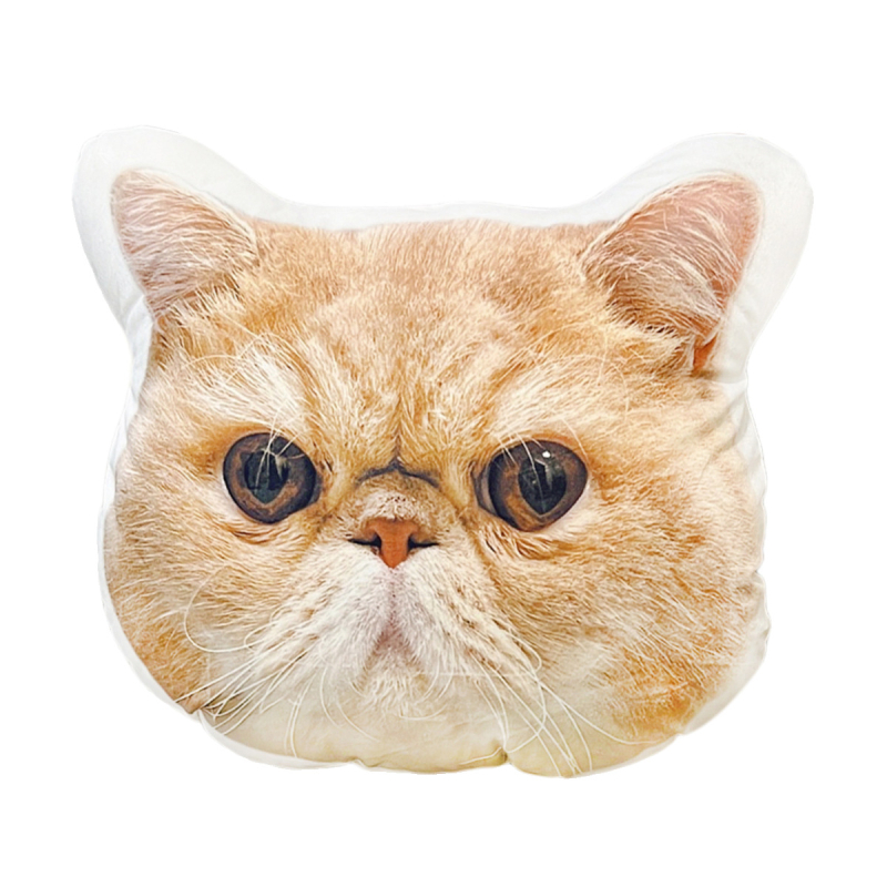 Tulnuka kole padi ilma valge servata, kaheinimesevoodi komplekt, kole kassi foto, kass, koer, nukk, topelt isetegemise padi