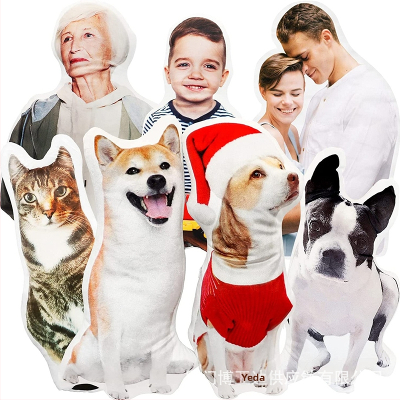 Най-продаваната персонализирана възглавница с неправилна форма тип „под“ на Etsy, най-продаваната реалистична възглавница за диван с домашен любимец на Amazon.