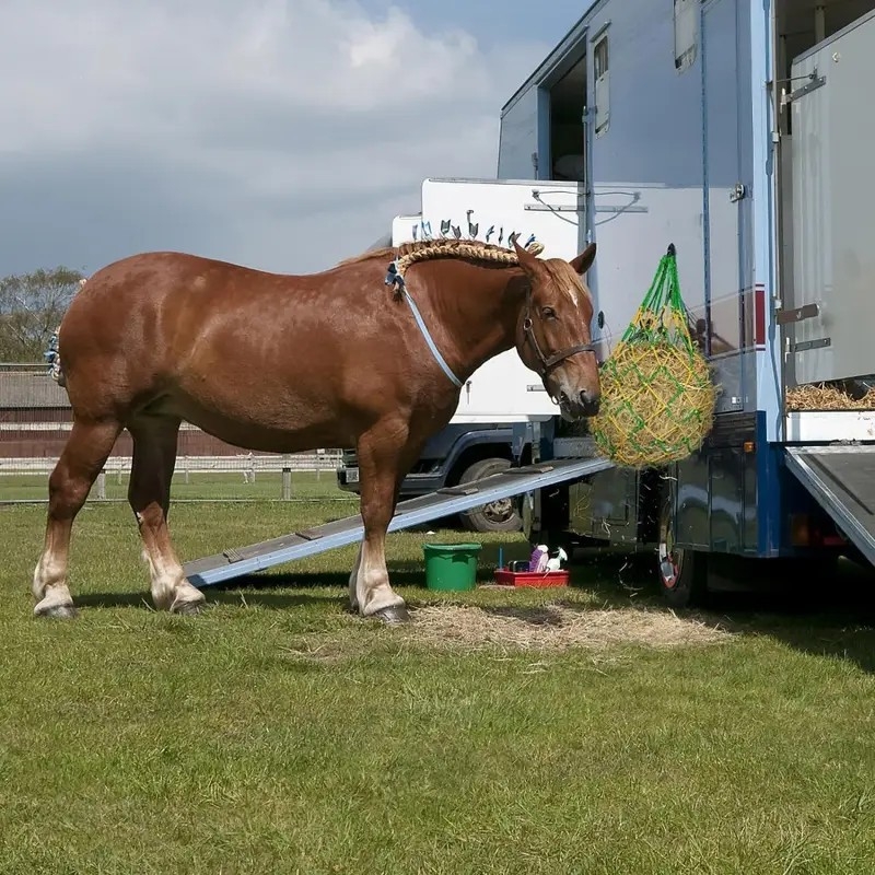 Lassú etetésű szénaháló Ló Szarvasmarha Juh Alpaka Lassú etetésű háló Zsák Ló Fűháló Ló Fűzsák Határon átnyúló szénazsák