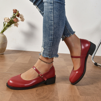 2025 Άνοιξη Νέα Μεγάλα Μεγέθη Παπούτσια Εξωτερικού Εμπορίου για Γυναίκες, Ευρωπαϊκή και Αμερικανική Εξωτερική Ρούχα, Χοντρό Τακούνι, Χαμηλό Τακούνι, Γυναικεία Παπούτσια Εργασίας