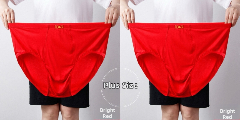 Ανδρικά Εσώρουχα Modal Σλιπ Ανδρικά Σλιπ με Ψηλή Μέση, Χαλαρά, Μεγάλα Μεγέθη 300 Jin