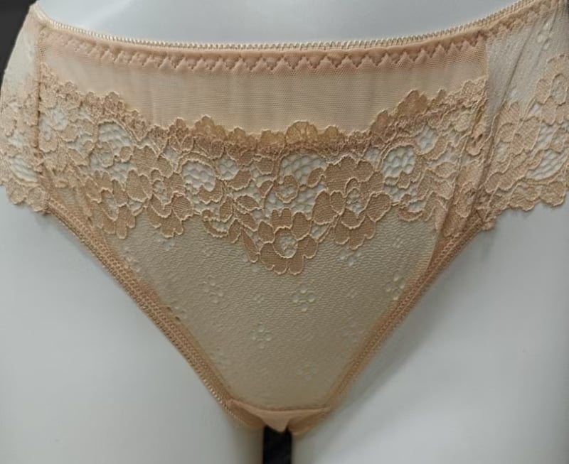 Νέο εξωτερικό εμπόριο Ευρώπης και Ηνωμένων Πολιτειών σέξι δαντελένιο στρινγκ διαφανές εσώρουχο μέσης γυναίκες καθαρό θέλουν κοίλο συν μέγεθος χωρίς ραφή παντελόνι T