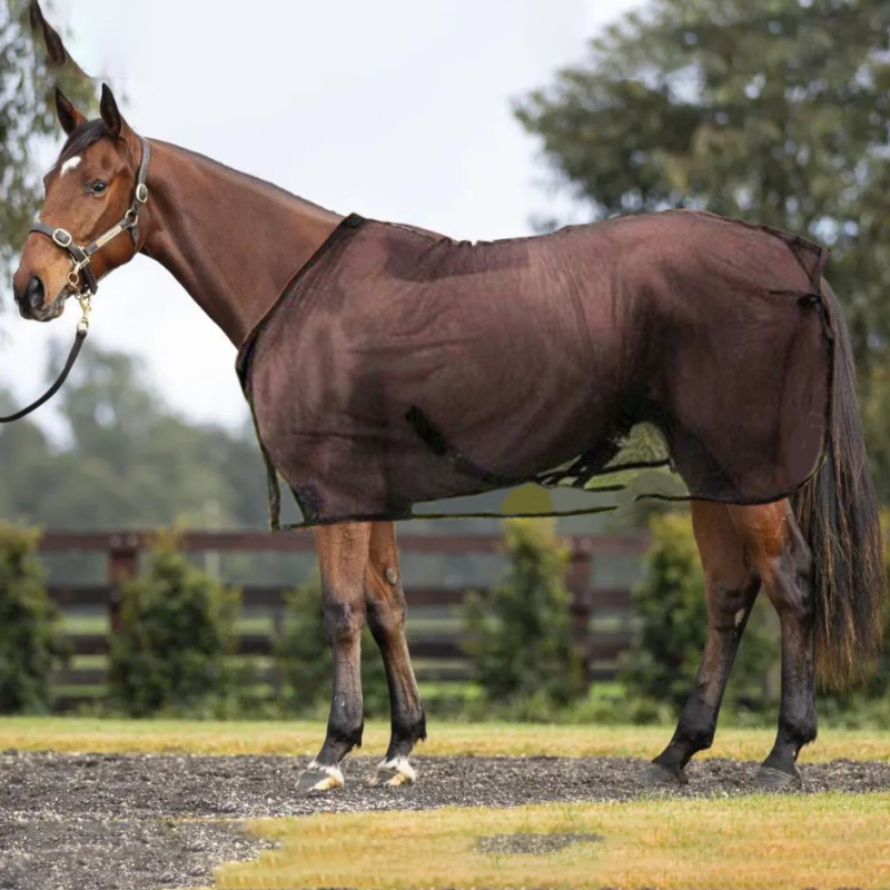Spot Equestrian Supplies suvine sääsevastane hobusemantel, võrkkangast, hingav hobusemantel, reguleeritava suurusega, kulumiskindel, hingav hobusekaitse