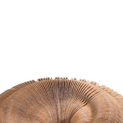 „Magic Organ“ katės draskymo lenta, sulankstomas kačių žaislas su varpeliu, savaiminio palengvinimo katės šlifavimo letena, gofruotas popierius, atsparus įbrėžimams katės lizdas