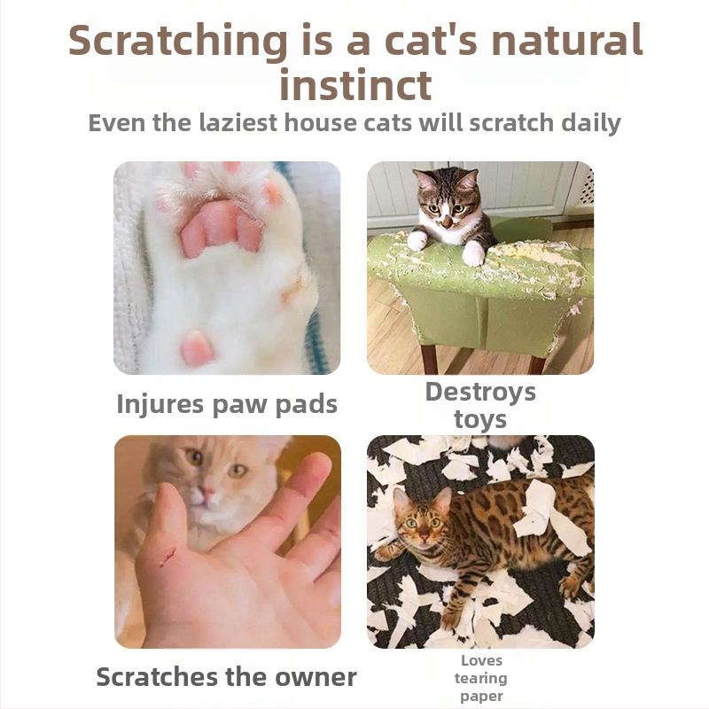 Сгъваема играчка за котки Magic Organ с камбанка, самооблекчаваща се, стържеща за котки ластици, гофрирана хартия, устойчива на надраскване, котешко гнездо