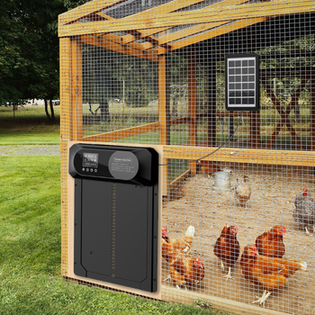 Suur piiriülene uus kanakuudi uks, täisautomaatne päikesepaneelidega kanauks, intelligentne muljumisvastane lemmikloomauks, valgustundlik ajastus