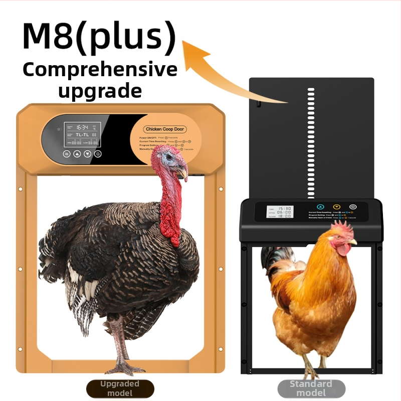 Suur piiriülene uus kanakuudi uks, täisautomaatne päikesepaneelidega kanauks, intelligentne muljumisvastane lemmikloomauks, valgustundlik ajastus