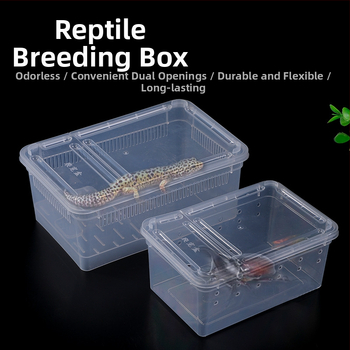 Фабрика на едро кутия за хранене на влечуги, домашни любимци, охлюви, пълзящи кутии за домашни любимци, рак-отшелник, рогата жаба, гущер, кутия за насекоми, пълзящи кутии за домашни любимци