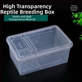 Фабрика на едро кутия за хранене на влечуги, домашни любимци, охлюви, пълзящи кутии за домашни любимци, рак-отшелник, рогата жаба, гущер, кутия за насекоми, пълзящи кутии за домашни любимци
