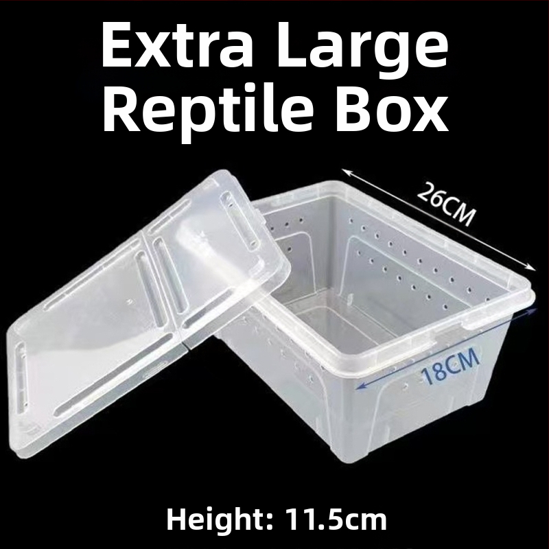 Фабрика на едро кутия за хранене на влечуги, домашни любимци, охлюви, пълзящи кутии за домашни любимци, рак-отшелник, рогата жаба, гущер, кутия за насекоми, пълзящи кутии за домашни любимци