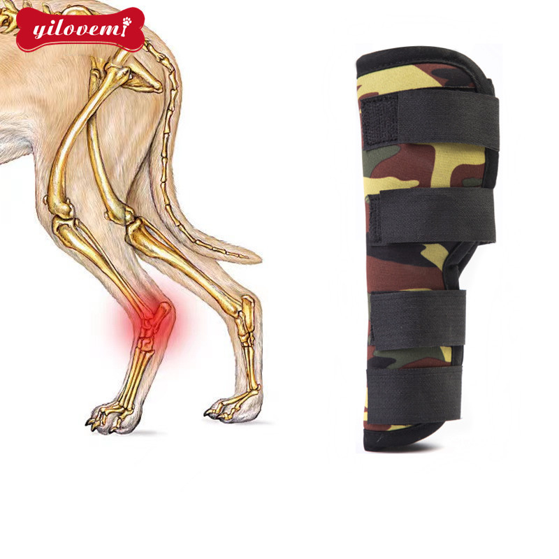 Új kisállat-kellékek Kutya térdvédő kötés Műtét utáni védőhuzat Kutya ízületvédő huzat Nyalogatásgátló tükröződésmentes szindróma utáni felépülés