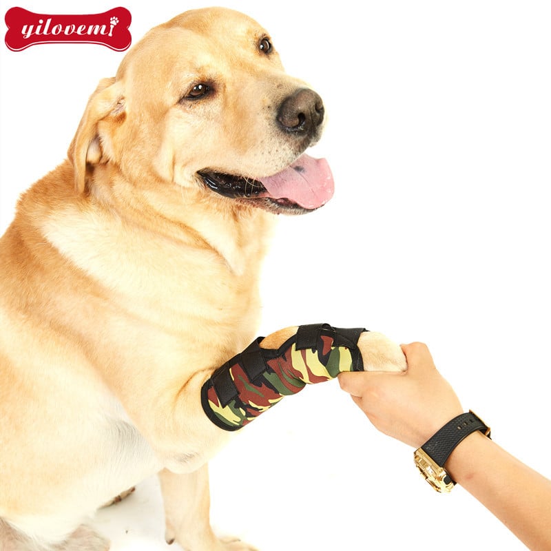 Új kisállat-kellékek Kutya térdvédő kötés Műtét utáni védőhuzat Kutya ízületvédő huzat Nyalogatásgátló tükröződésmentes szindróma utáni felépülés