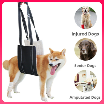 ✅ Ζώνη βοηθού σκύλου για διασυνοριακή χρήση, ρυθμιζόμενη ζώνη αποκατάστασης σκύλου, είδη κατοικίδιων για ηλικιωμένους με αναπηρία σε απόθεμα