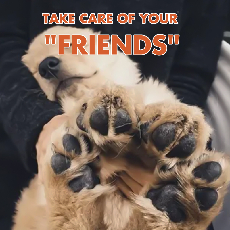 Eelhoe lemmikloomade käpakreem kuivadele ja lõhenenud jalgadele, kassi ja koera käpapadjandite hooldus- ja hooldusõli, rahustav, niisutav ja niisutav