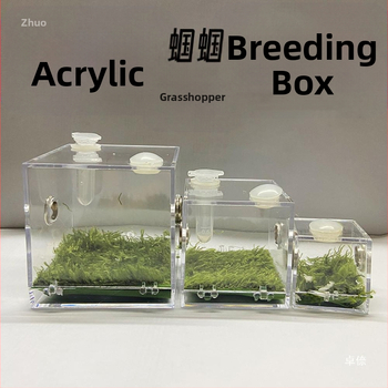 Κελάδημα που κελαηδάει μπορεί να κατοικίδιο ζώο κελαηδάει κλουβί που ονομάζεται τενεκεδένιο τριζόνι που ταΐζει μικρά φορητά ανταγωνιστικά κελαηδήματα αναπαραγωγής