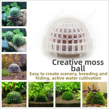 En-gros chiuvetă transparentă cu minge de apă, minge de mușchi, mușchi ornamental, creveți, casă, evitați reproducerea, conținând minge minerală