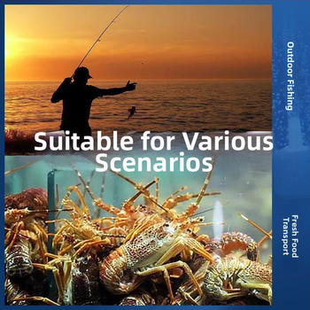 [Qingcang gydymas] Buitinis akvariumo deguonies siurblys Atmosferinis deguonies siurblys Deguonies siurblys Lauko žvejybos deguonies siurblys