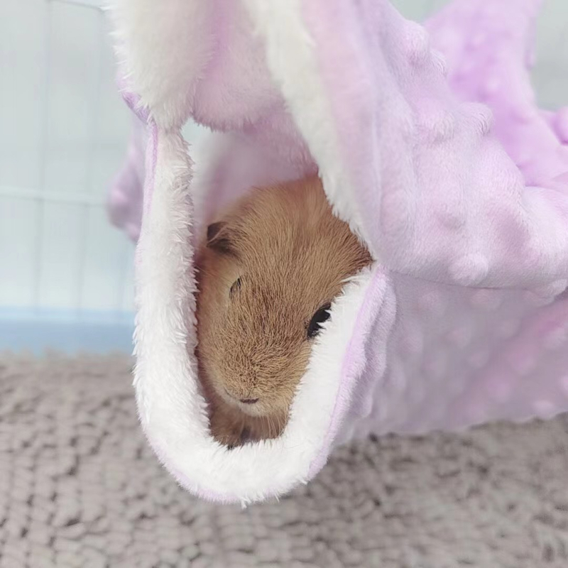 Vrecko s medom pre morčatá, teplé bavlnené hniezdo, jesenná a zimná klietka, kvetinová vetvička, hniezdo pre potkany, spací vak pre veveričky, hojdacia sieťovina, malé domáce zvieratá, hniezdo.