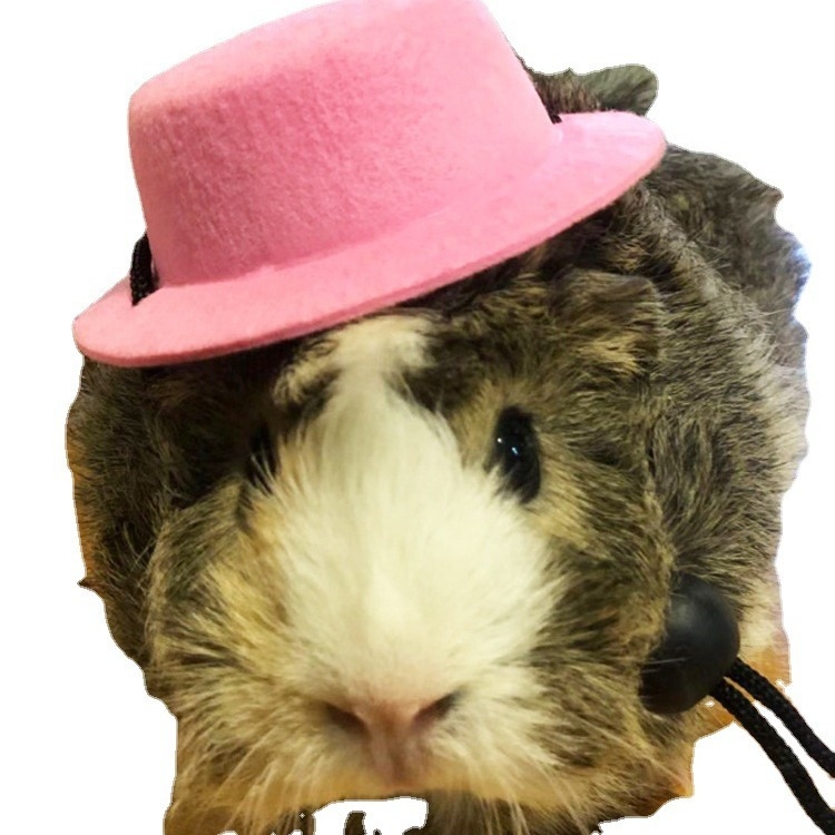 Vtipná nastaviteľná vianočná čiapka s motívom králika, morčaťa, činčily a ježka